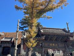 -五台山风景名胜区