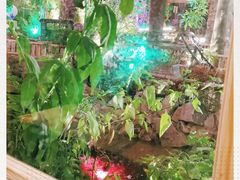 -花溪雨·森林餐厅(石基店)