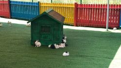 -萌宠亲子动物乐园(槐房万达店)