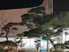 -罗红摄影艺术馆