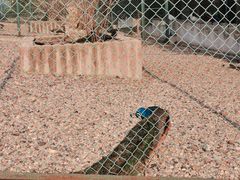 -南京金牛湖风景区