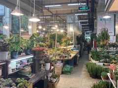 -双季花艺园艺市场(浦东店)