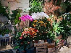 -春暖花开(西溪店)