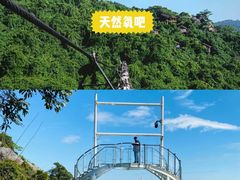 -亚龙湾热带天堂森林公园