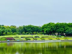 -东莞植物园