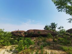 -白水寺森林公园