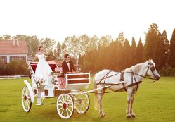 -IDO婚纱摄影(上海旗舰店)