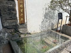 -月栖华明-云间草堂清茶馆(泗泾古镇店)