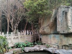-顺峰山公园