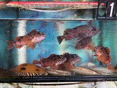 -星奇缘·海鲜餐厅(东山美食地标店)