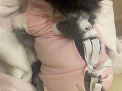 -北京观赏动物医院·24小时大型综合·猫专科·异宠专科