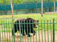 -秦皇岛野生动物园