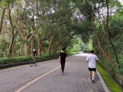 -大屏嶂森林公园