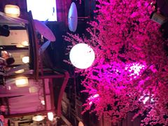 -韵秋荷(宝山龙湖天街店)
