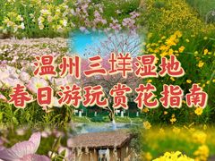 -三垟湿地