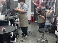 -宠物家(大兴旧宫店)