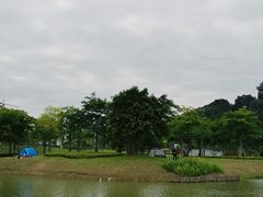-王借岗森林公园