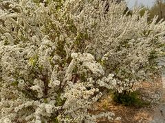 -北京鹫峰国家森林公园