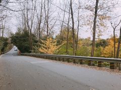 -三圣花乡旅游区