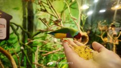 -Zoolung Zoolung动物主题公园(海信广场店)