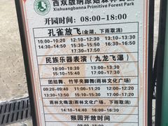 -西双版纳原始森林公园