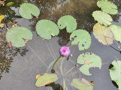 -云溪植物园