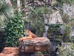 -海南热带野生动植物园