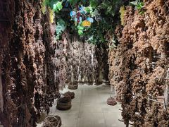 -新疆国际大巴扎