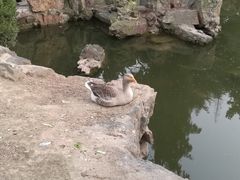 -南通博物苑-崇川人民公园