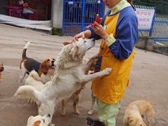 -成都爱之家动物救助中心