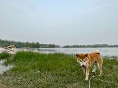 -马家湾湿地公园