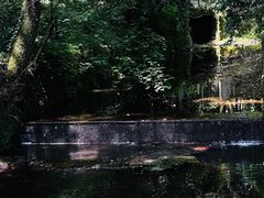 -杭州植物园