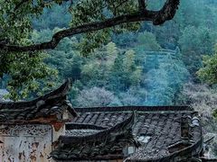 -杨家堂村