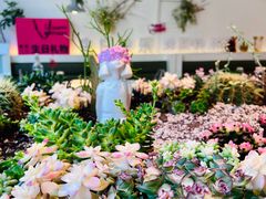 -春树下·树屋花房西餐厅(罍街AS1980店)