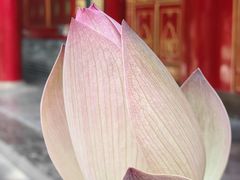-西安市广仁寺