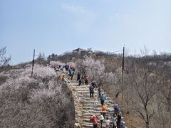 -龙泉峪长城