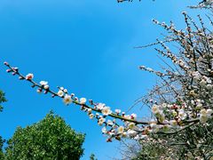 -白马涧龙池景区