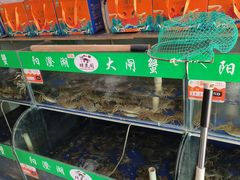 -阳澄湖大闸蟹·琼灵阁牌品牌连锁(吴中总店)