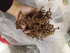 iphone_upload_pic-加顺农场餐厅