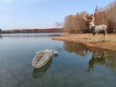 -溱湖国家湿地公园