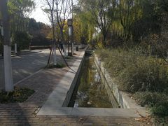 -洛阳市隋唐城遗址植物园