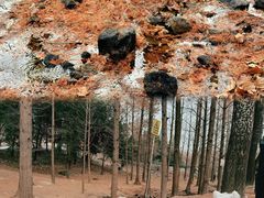 -白水寺森林公园