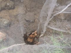 -碓臼峪自然风景区