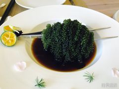 -安多素食(广仁寺路店)