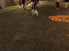 -飞马旅黎黄陂路文旅街区