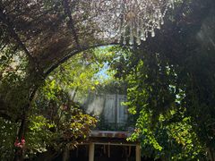 -The Grounds of Alexandria