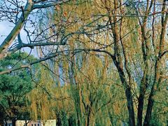 -圣露庄园·露营·烤肉·亲子