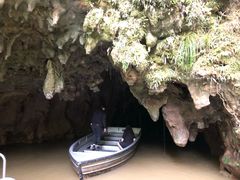 -怀托摩萤火虫洞