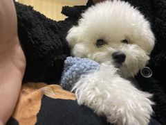 -佳雯宠物医院(金华南路分院)