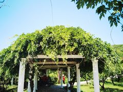 -苏州上方山国家森林公园